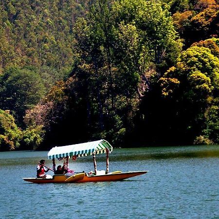 Готель Munnar Dreams Екстер'єр фото