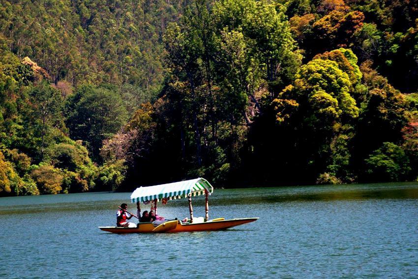 Готель Munnar Dreams Екстер'єр фото