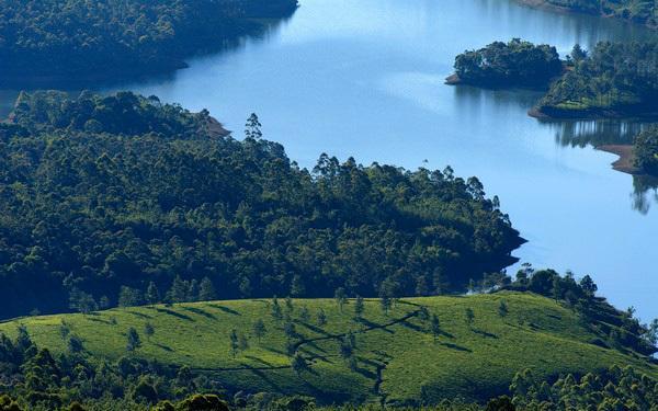Готель Munnar Dreams Екстер'єр фото